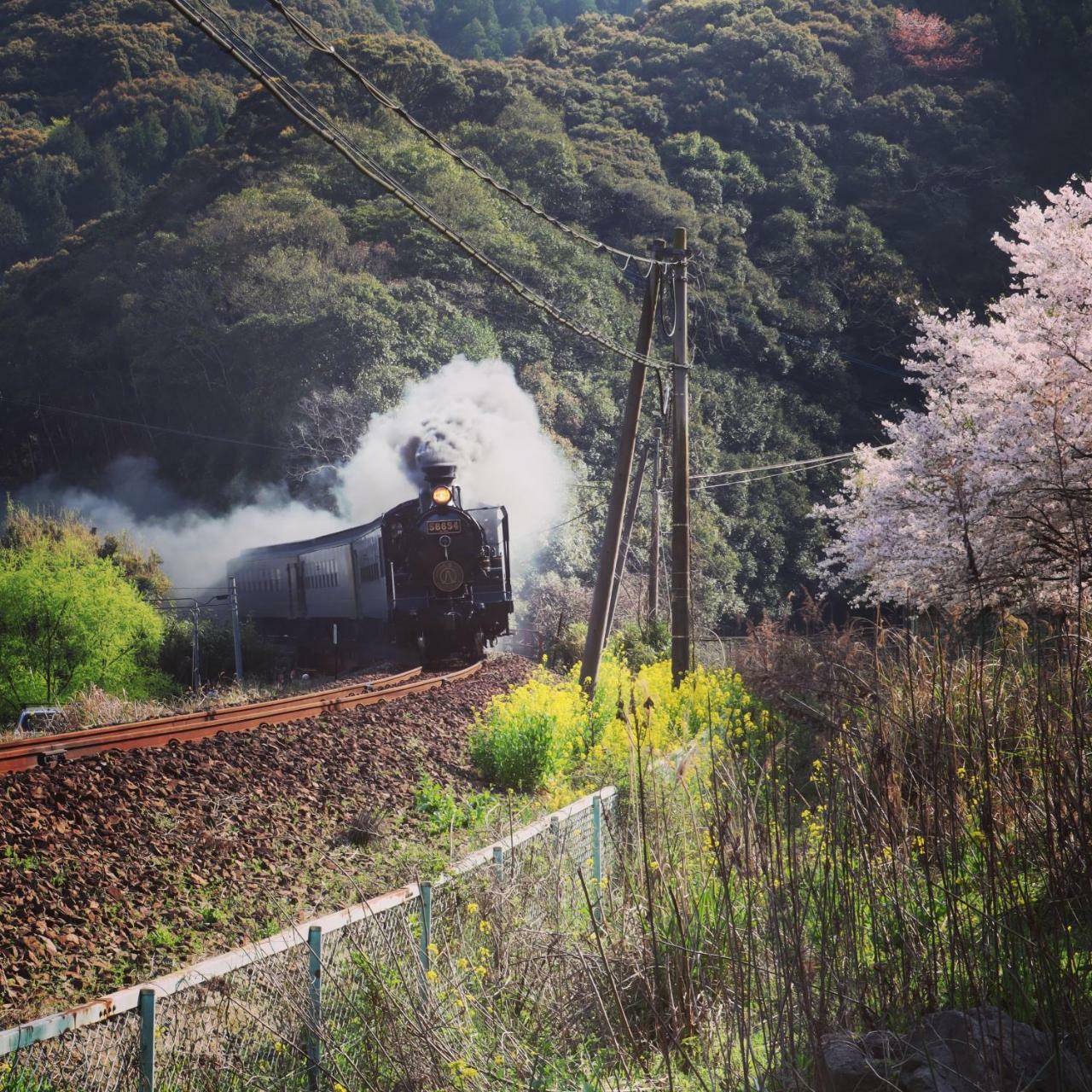 Hitoyoshi Onsen Ohgano Yado Hotel Екстериор снимка